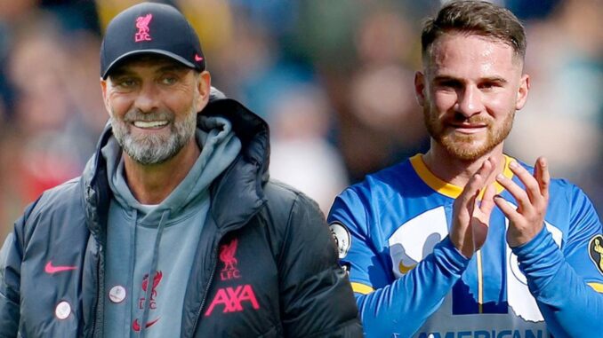 klopp allister lfc brighton