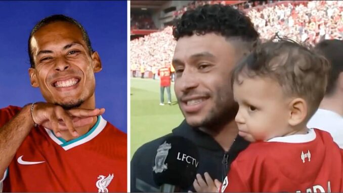 ox vandijk