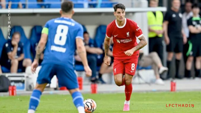 szobo lfc asia