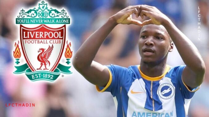 caicedo lfc