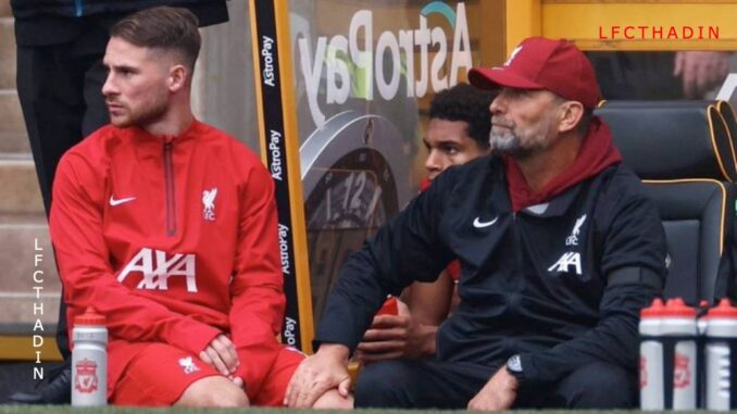 klopp maca