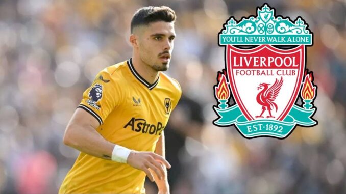 lfc neto 2024
