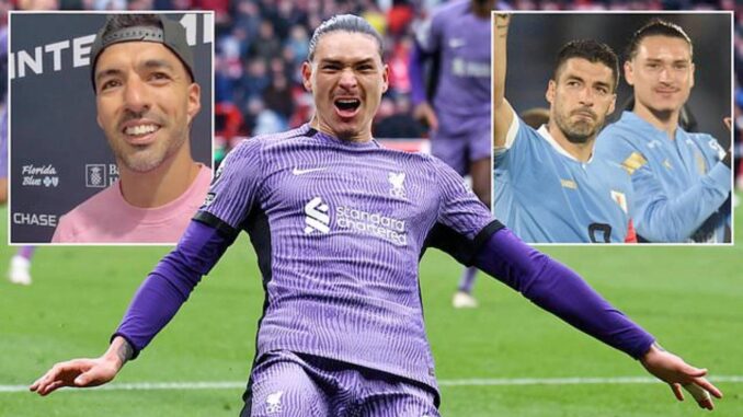 suarez darwin lfc