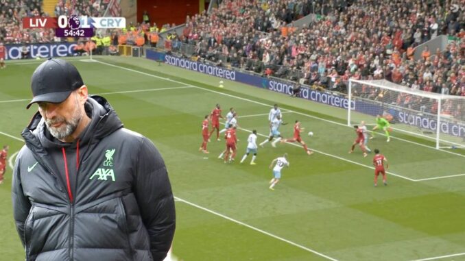 klopp darwin 804