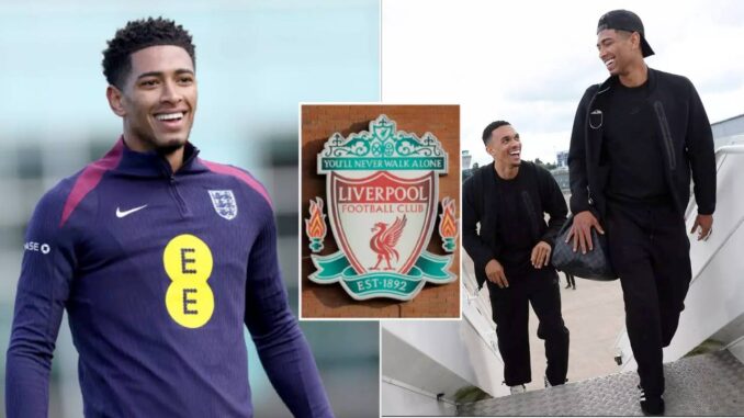trent jude euro 24