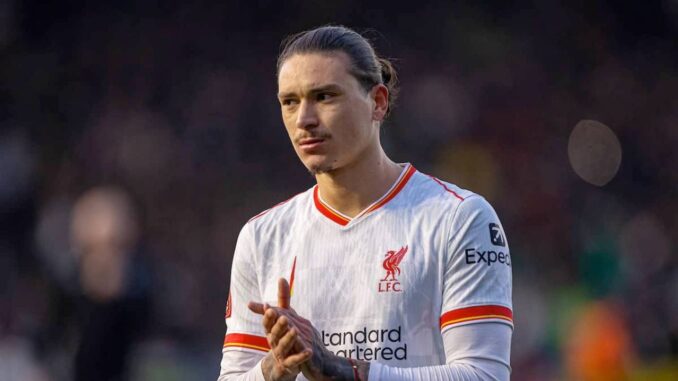 darwin lfc saudi sdf